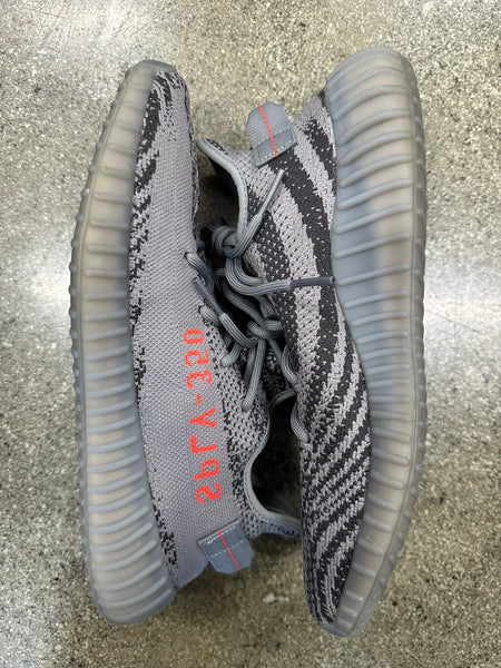 Collection beluga 2.0