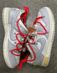 DUNK LOW LOT 6 - SIZE 10 (WORN)