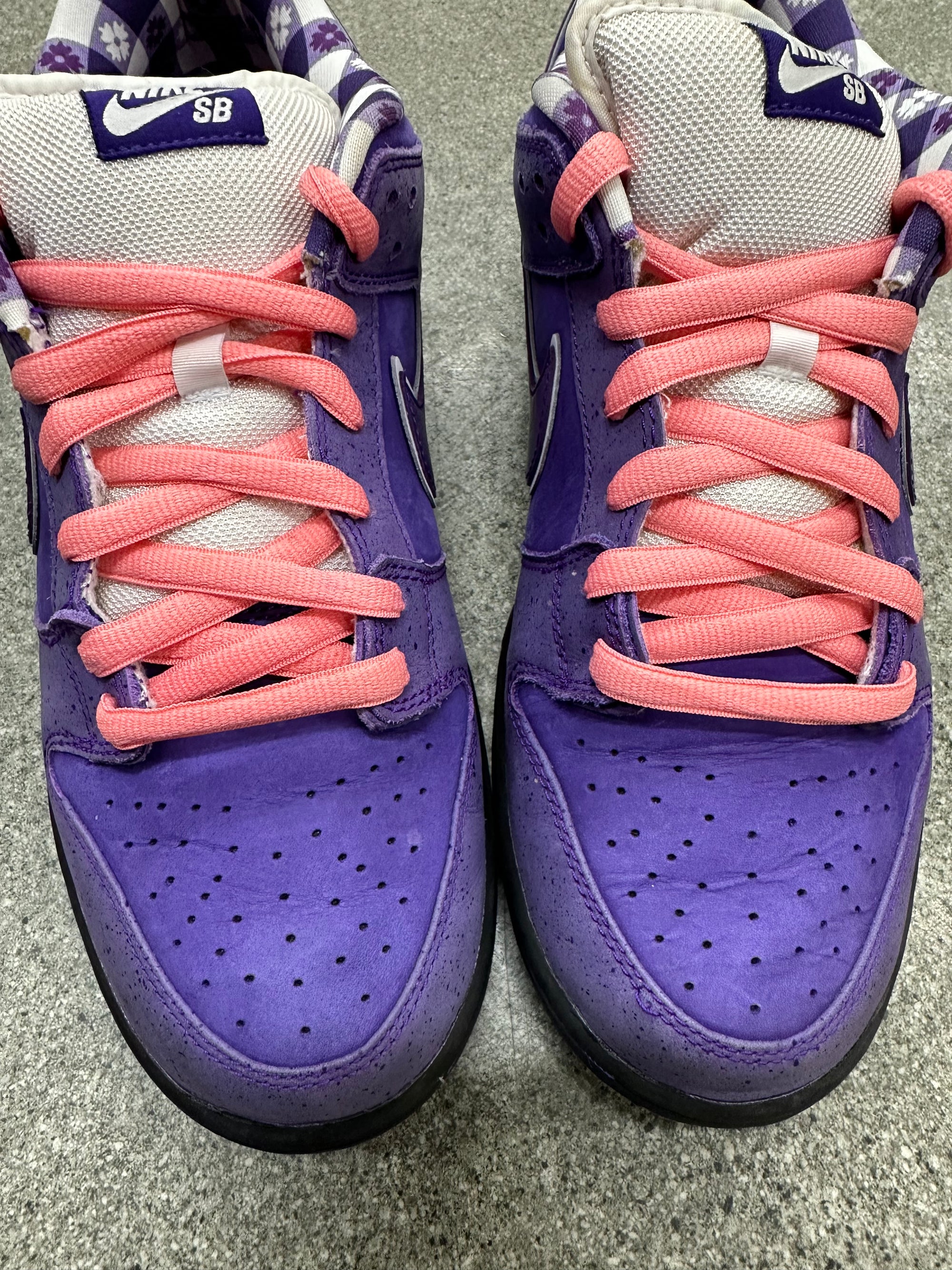 SB DUNK LOW PURPLE LOBSTER - SIZE 11 (WORN)