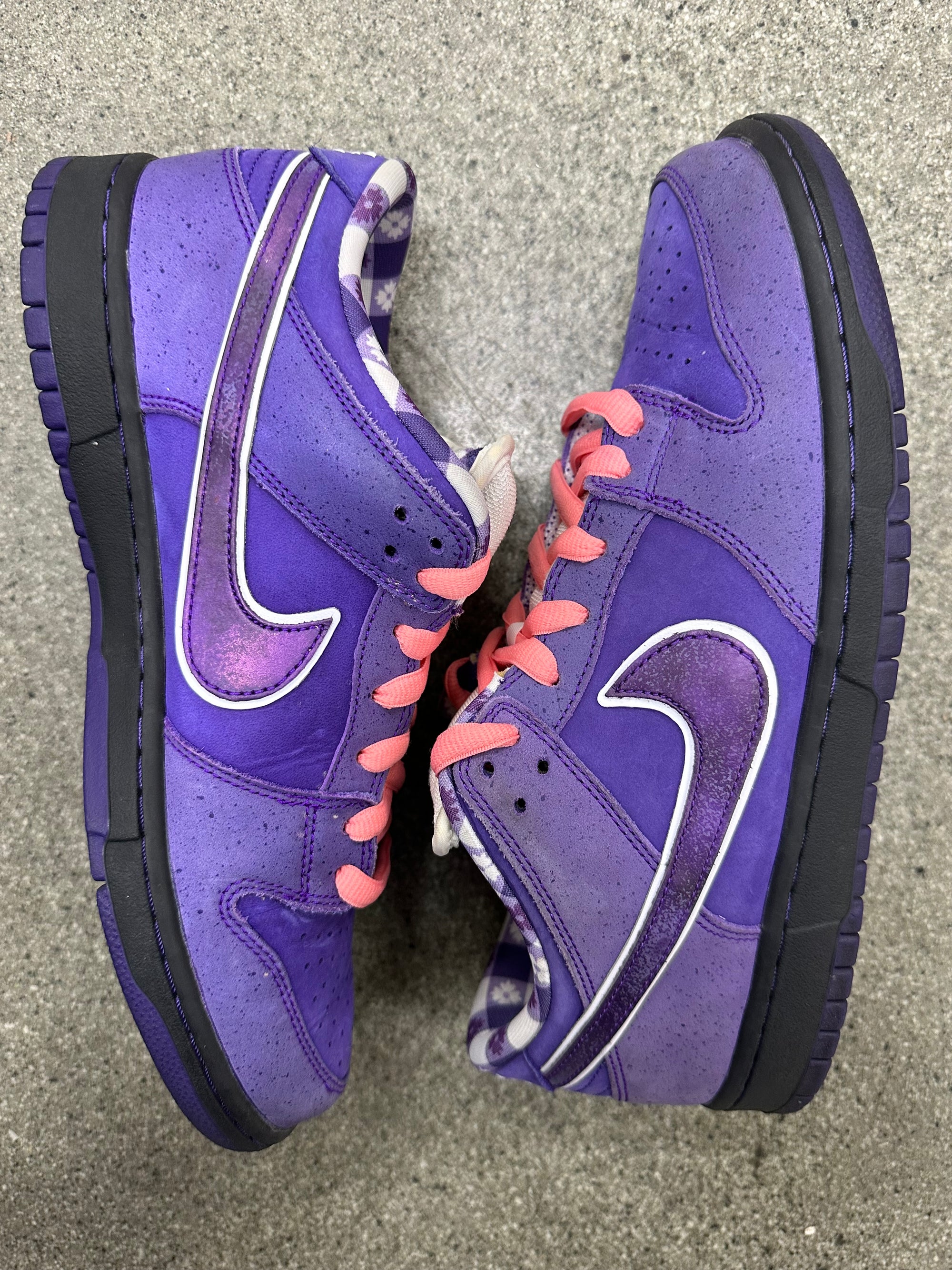 SB DUNK LOW PURPLE LOBSTER - SIZE 11 (WORN)