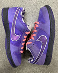 SB DUNK LOW PURPLE LOBSTER - SIZE 11 (WORN)