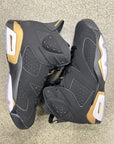 AIR JORDAN 6 DMP - SIZE 9.5 (WORN)