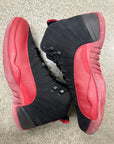 AIR JORDAN FLU GAME 2009 - SIZE 11.5 (WORN)