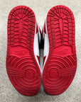 AIR JORDAN 1 HOME TO HOMAGE - SIZE 10.5 (WORN)