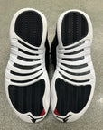 AIR JORDAN 12 NYLON - SIZE 8.5 (WORN)