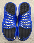 AIR JORDAN 12 BLUEBERRY - SIZE 8.5 (WORN) (SUPER CLEAN)