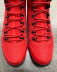 AIR JORDAN 9 CHILE RED - SIZE 11.5 (WORN)