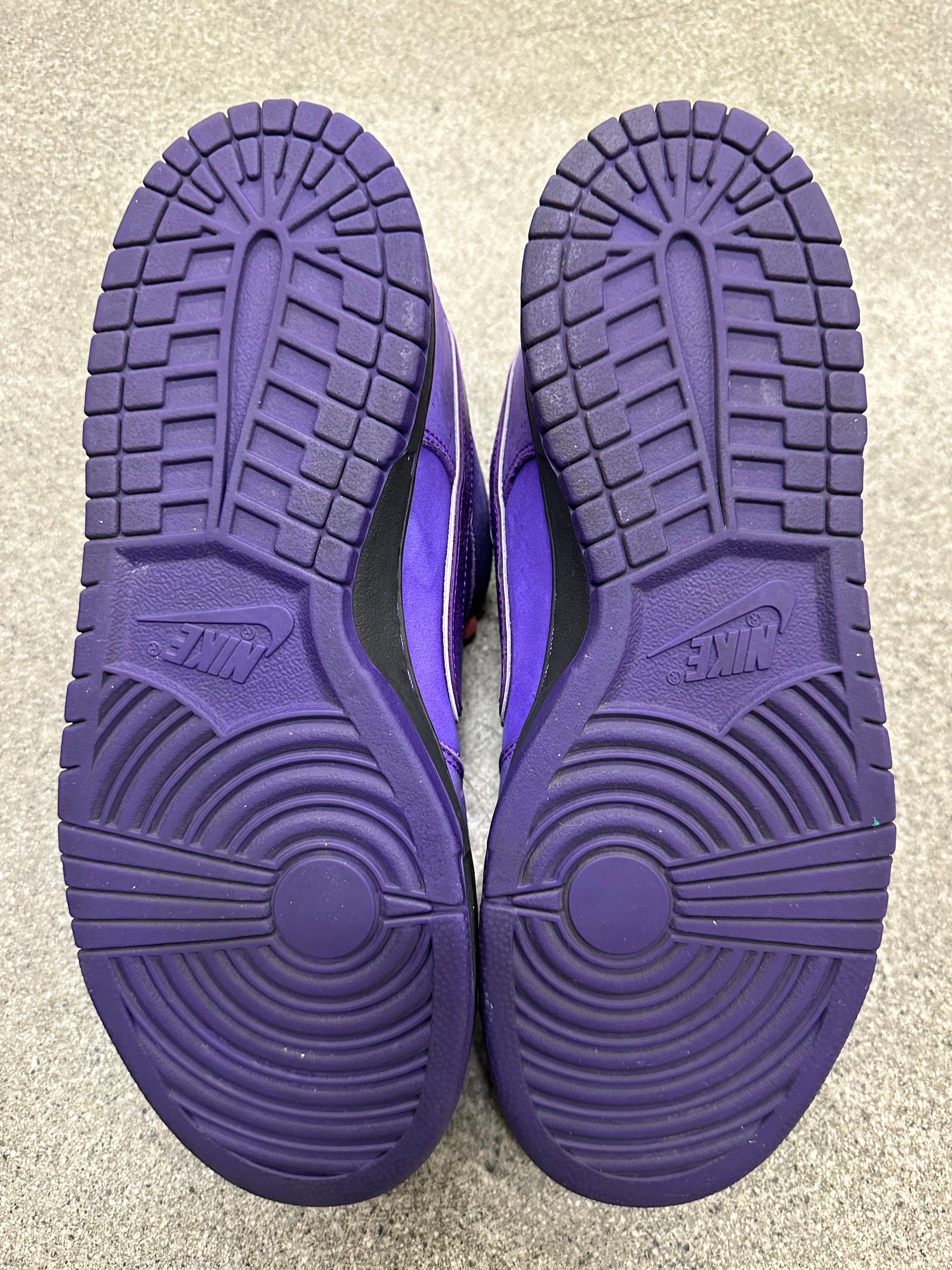 SB DUNK LOW PURPLE LOBSTER - SIZE 11 (WORN)