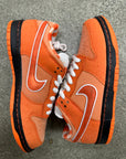 SB DUNK LOW ORANGE LOBSTER - SIZE 6.5 (WORN)