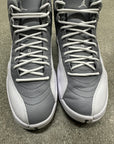 AIR JORDAN 12 STEALTH - SIZE 9.5 (WORN)