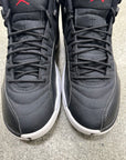 AIR JORDAN 12 NYLON - SIZE 8.5 (WORN)