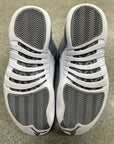 AIR JORDAN 12 STEALTH - SIZE 9.5 (WORN)