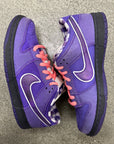 SB DUNK LOW PURPLE LOBSTER - SIZE 11 (WORN)