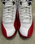 AIR JORDAN 12 CHERRY 2023 - SIZE 9.5 (WORN) (SUPER CLEAN)