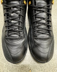 AIR JORDAN 12 THE MASTER - SIZE 11 (WORN)