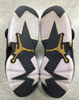 AIR JORDAN 6 DMP 2020 - SIZE 10.5 (WORN) (SUPER CLEAN)